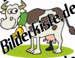 Kuh mit gelber
Glocke