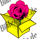 Geburtstag: Geschenke - Geschenk mit Rose  (nicht animiert)