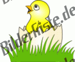 Chicken: In a broke open egg on a meadow 1 (not animated)