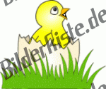 Chicken: In a broke open egg on a meadow 2 (not animated)