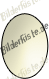 Kken: Schlpft aus dem Ei (animiertes GIF)
