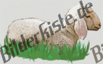 Schafe: Lamm - auf Wiese 1 (nicht animiert)