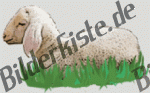 Sheep: Lamb - on a meadow 2 (not animated)