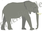 Animals: Elephants - single elephant (not animated)