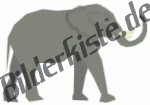Tiere: Elfanten - Elefant erhobener Rüssel (nicht animiert)