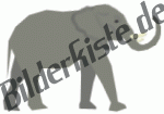 Tiere: Elfanten - Elefant erhobener Rssel (nicht animiert)