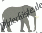 Tiere: Elfanten - Elefant spritzt (animiertes GIF)