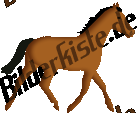 Tiere: Pferde - Pferd (nicht animiert)