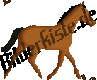 Animals: Horses - horse (not animated)