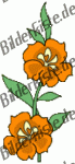 Flowers: Flower 1 - orange (not animated)