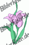Blumen: Blte 2 - violet (nicht animiert)