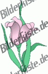 Blumen: Blüte 2 - pink (nicht animiert)