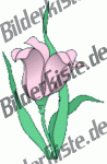 Blumen: Blte 2 - pink (nicht animiert)