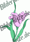 Blumen: Blte 2 - violet (gespiegelt)  (nicht animiert)