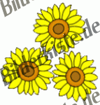 Blumen: Sonnenblumen drei (nicht animiert)