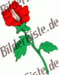 Blumen: Blume 5 - rot (nicht animiert)