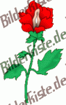 Blumen: Blume 5 - rot (gespiegelt) (nicht animiert)