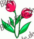 Blumen: Tulpen - zwei rot (nicht animiert)