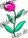 Flowers: Tulips - pink (not animated)