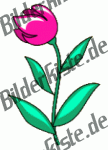 Blumen: Tulpen - pink (nicht animiert)