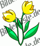 Blumen: Tulpen - zwei gelb (nicht animiert)