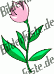 Flowers: Tulips - pink 2 (not animated)