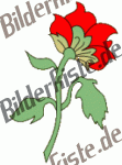 Blumen: Blüte 2 - rot (nicht animiert)