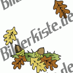 Herbst: Eicheln - am Boden