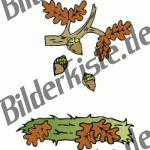 Herbst: Eicheln - fallen