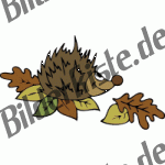 Autumn: hedgehog on leaves