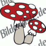 Fly agaric