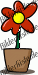 Blume in einer Vase