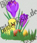 Easter: Crocus- with Easter eggs and chicken (not animated)
