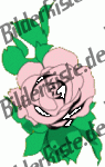 Blumen: Rose - rosa (nicht animiert)