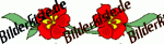 Blumen: Bl�te 1 - rot horizontal (nicht animiert)