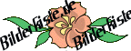 Blumen: Bl�te 1 - orange horizontal  (nicht animiert)