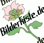 Blumen: Bl�te 2 - rosa 3 (nicht animiert)