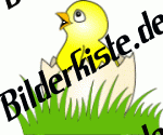 K�ken: Im aufgebrochenem Ei auf Wiese 1 (nicht animiert)