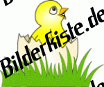 K�ken: Im aufgebrochenem Ei auf Wiese 2 (nicht animiert)