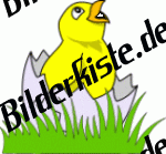 K�ken: Im aufgebrochenem Ei auf Wiese 4 (nicht animiert)