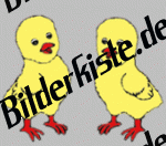K�ken: H�pfen (animiertes GIF)