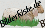 Schafe: Lamm - auf Wiese 1 (nicht animiert)