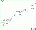 Rahmen 2-fach gr�n - 300 x 250 Pixel Innenma�