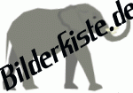 Tiere: Elfanten - Elefant erhobener R�ssel (nicht animiert)