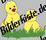 K�ken: Auf der Wiese 1 (animiertes GIF)