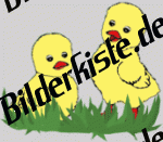 K�ken: Auf der Wiese 2 (animiertes GIF)
