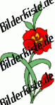 Bilder zum Thema botanik anzeigen