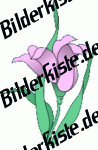 Flowers: Flower 2 - violet (not animated)