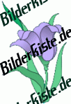 Blumen: Bl�te 2 - lila (nicht animiert)