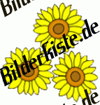 Bilder zum Thema garten anzeigen
